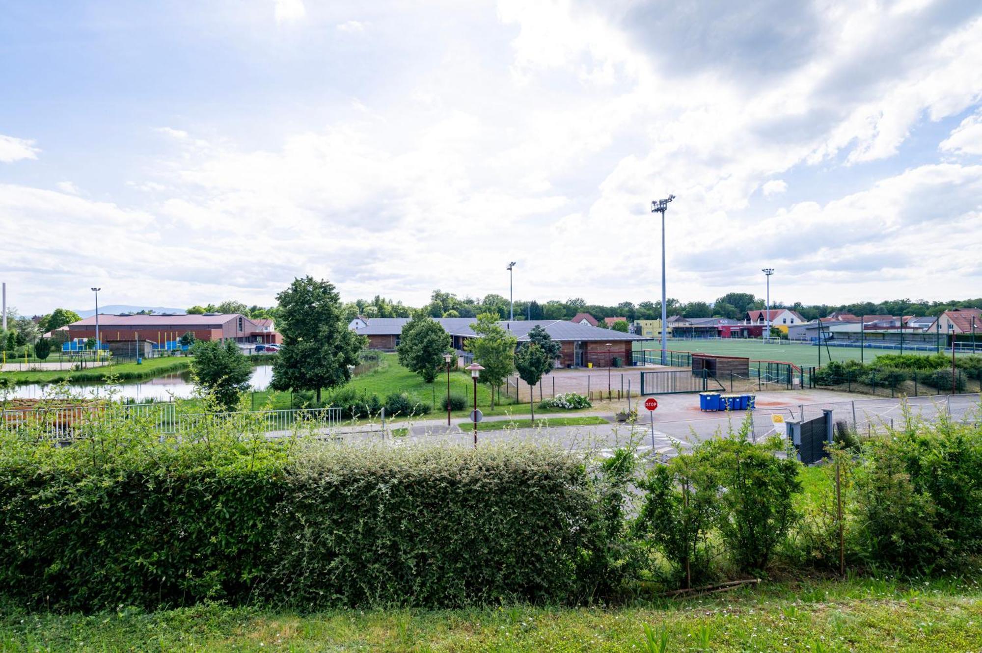 شقة Chez Virgil - Terrasse Vue Degagee, Parking Prive Ernolsheim-Bruche المظهر الخارجي الصورة